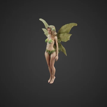 Beautiful fairy