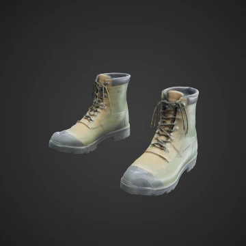 Fishing boots