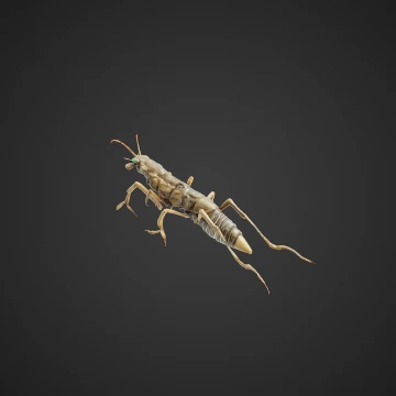 Biomechanical mantis
