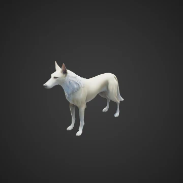 Silken wind hound