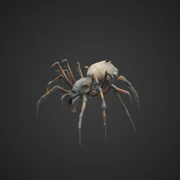 Spider