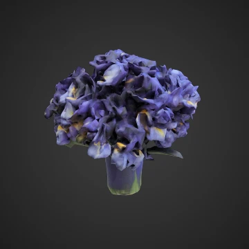 Iris bouquet